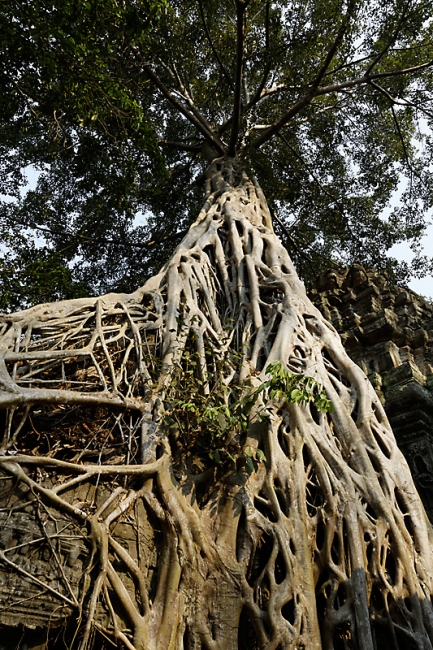 Ta Phrom et environs-098